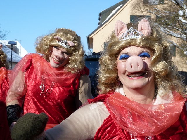 zauberhafte Miss Piggys auf dem Faschingsumzug Obergünzburg 2013
