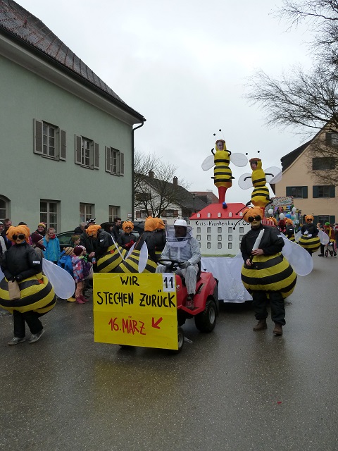 Faschingsumzug Obergünzburg-Krankenhausbienen
