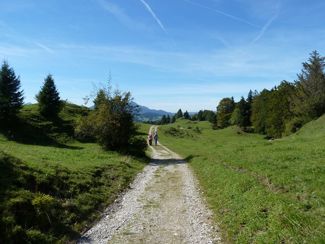 Weg zur Alpe Beichelstein