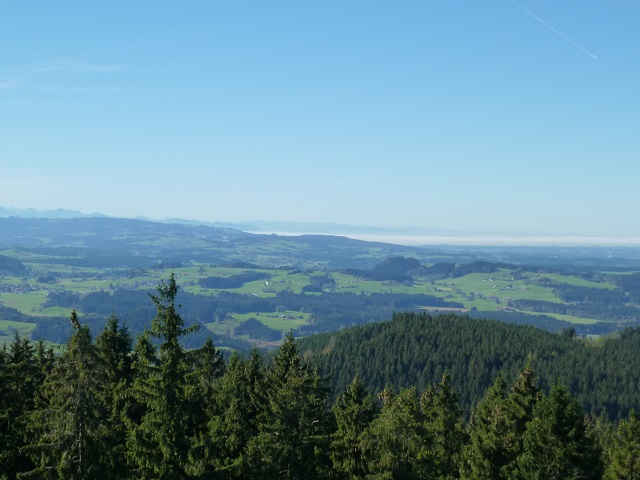 Schwarzer Grat - Bodenseeblick