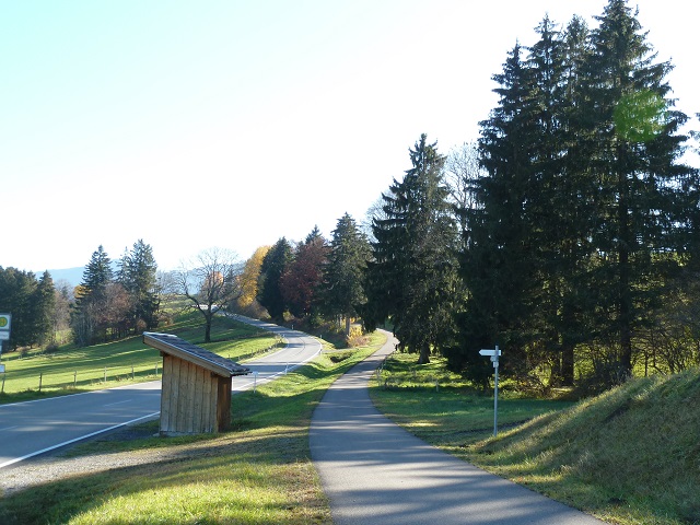 Radweg am Forggensee