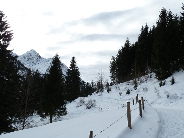 Bad Hindelang - Winter-Wanderweg aufs Imberger Horn