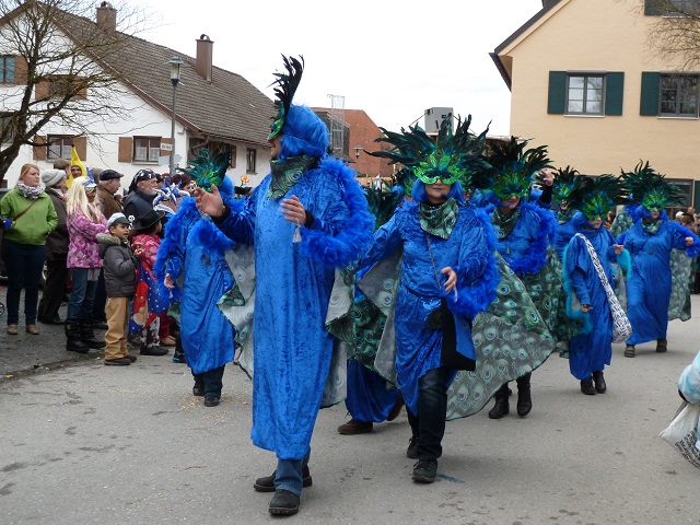 Gruppe blauer Pfauen auf dem Faschingsumzug Obergünzburg 2016