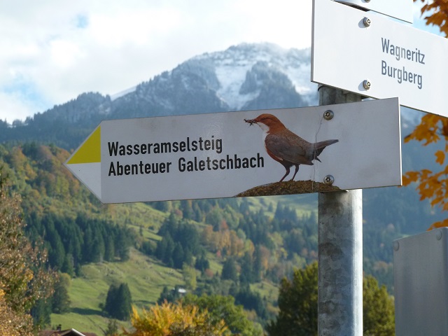 Wegweiser zum Abenteuer Galetschbach in Rettenberg