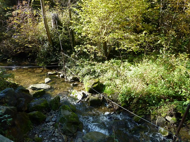 Der Wasseramselsteig im Galetschbach