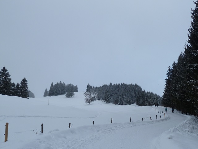 Verschneite Winterlandschaft am Buchenberg im Allgäu