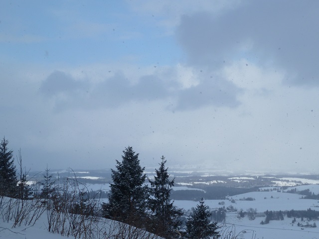 Blick vom Buchenberg auf den zugeschneiten Forggensee