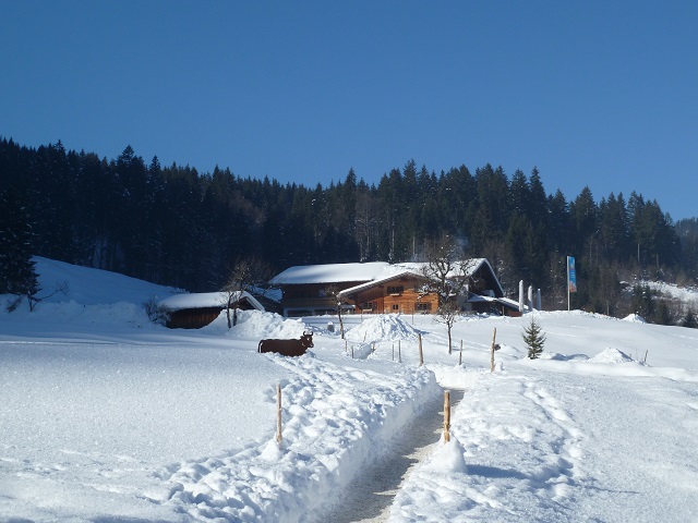 Die Alpe Dornach bei Tiefenbach im Winter