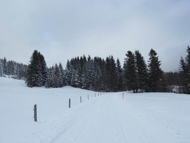 Winterwanderweg in Jungholz