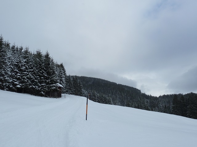 Wanderweg zur Alpe Stubdental im Winter
