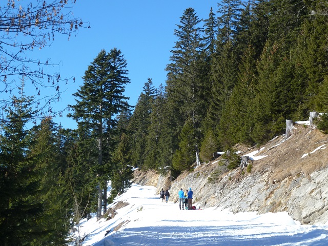Aufstieg zum Breitenberg über den Ostlerforstweg im Winter