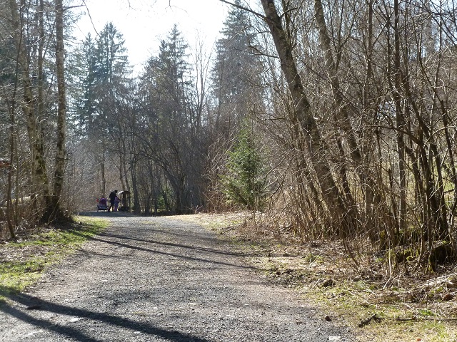 Waldweg bei Görisried
