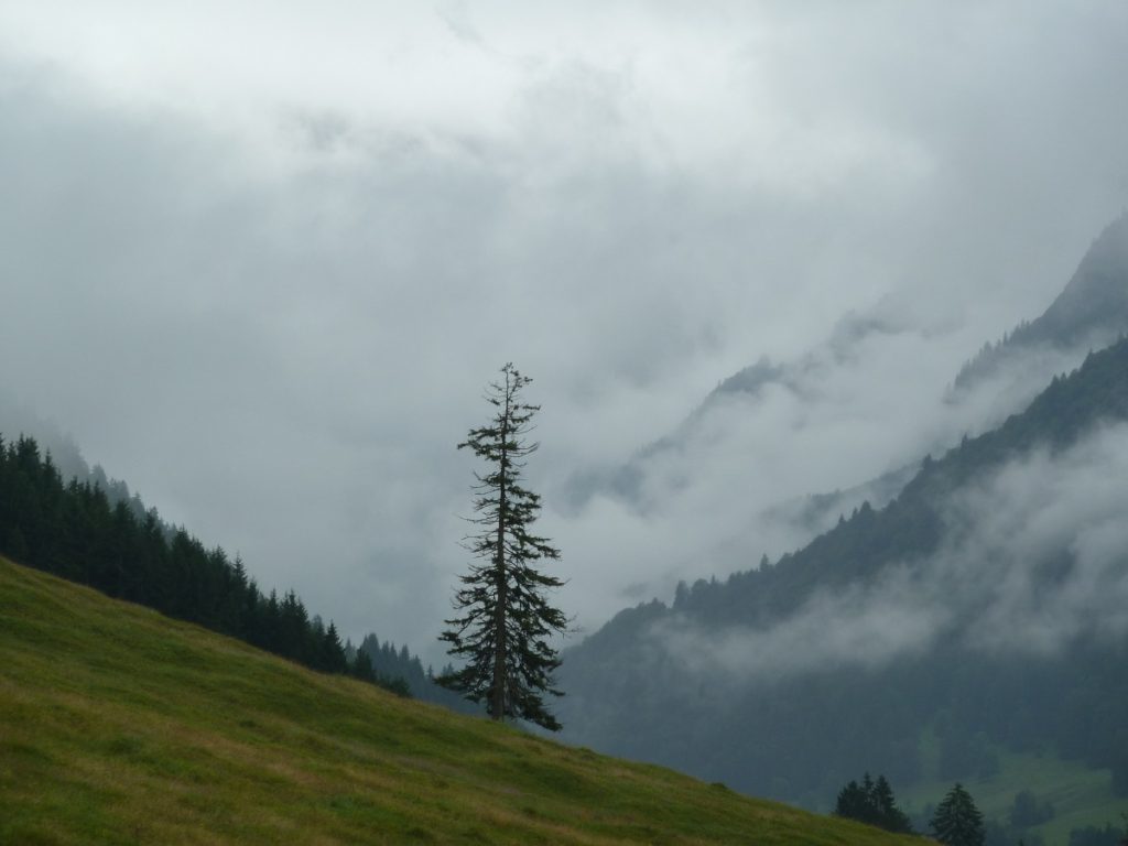 Die schönsten Regenwetter-Ausflugsziele im Allgäu