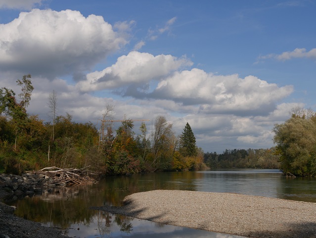Die Iller bei Kempten-Hegge - Kiesbank und Herbstwald am Ufer