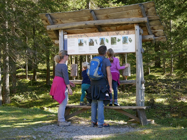 Lernstation Bäume am Erlebnisweg Uff d'r Alp am Nebelhorn bei Oberstdorf