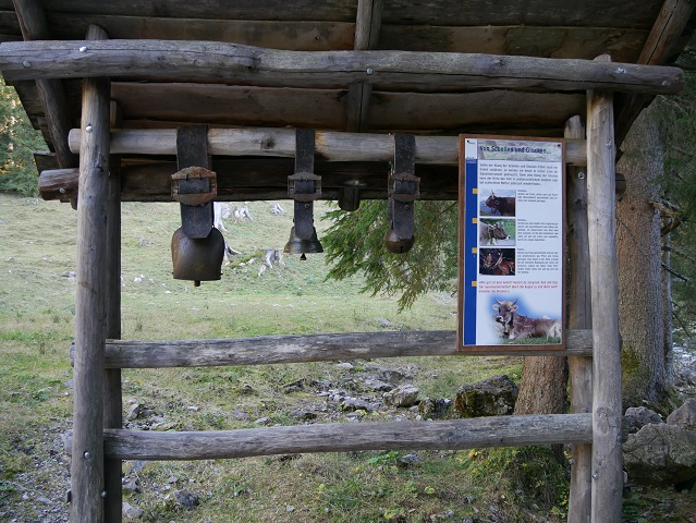 Kuhschellen zum Probeläuten am Erlebnisweg Uff d'r Alp