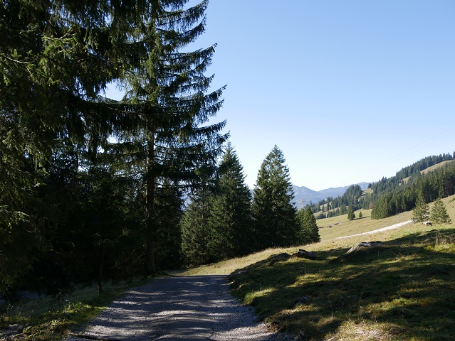Erlebnisweg Uff d'r Alp - von der Hofhütte Seealpe zurück