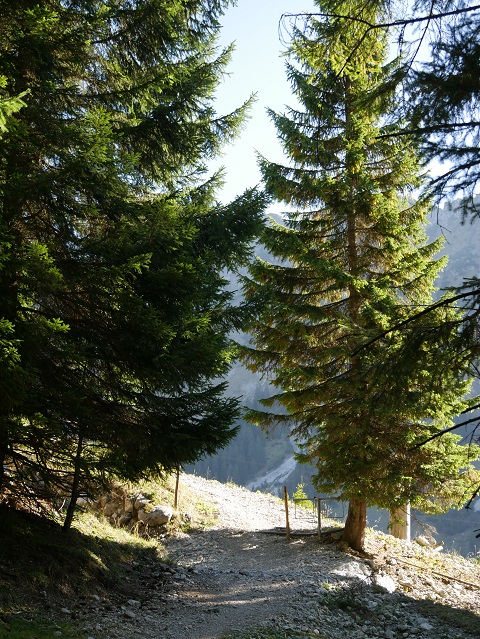 Rundwanderweg Seealpe am Nebelhorn - kleiner Anstieg