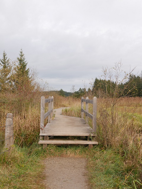 Brücke am Beginn des Holzbohlenwegs am Elbsee-Moor