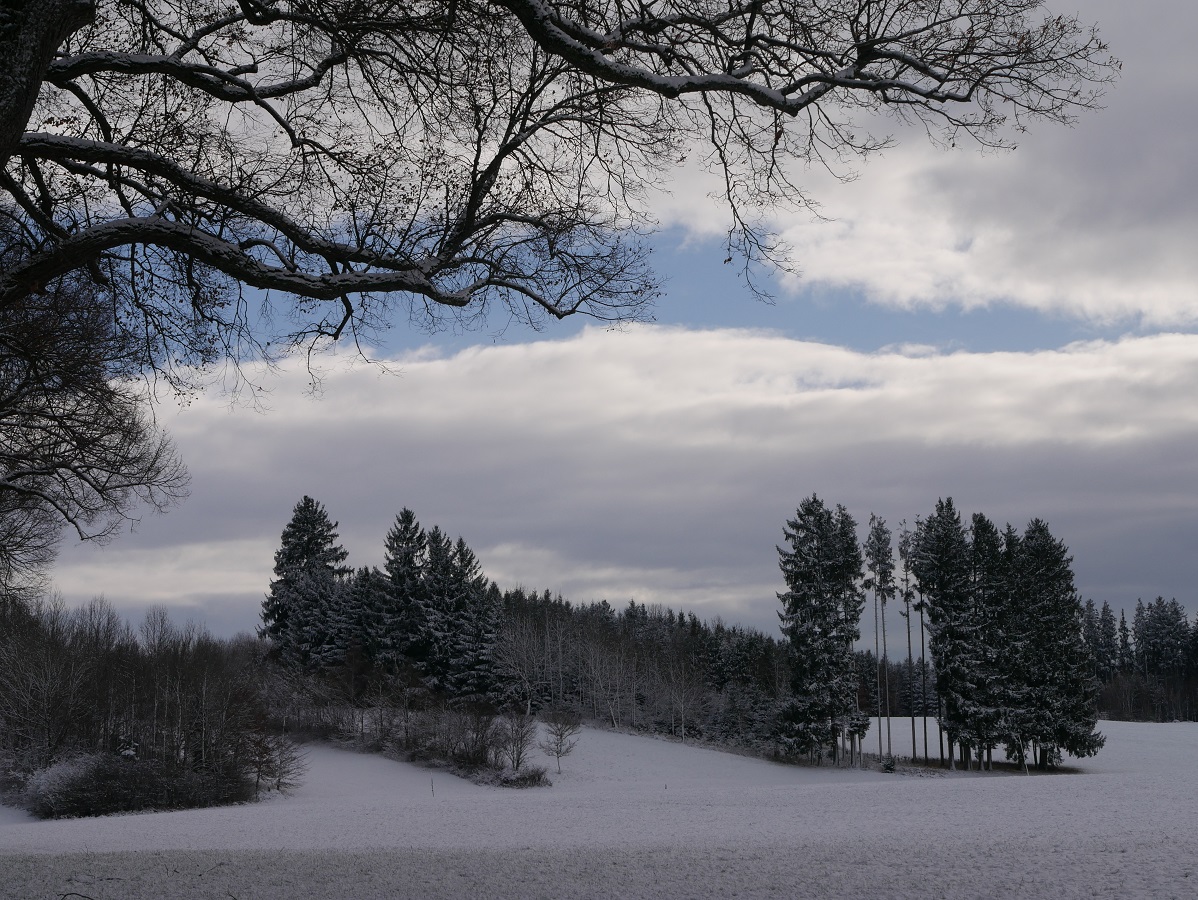 Allgäu-Fotos 2017 - mein schönstes Bild #FopaNet - Winterlandschaft bei Marktoberdorf