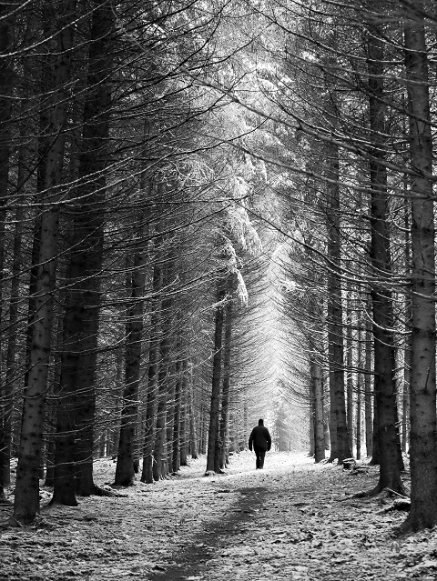 Schwarzweiß - Spaziergänger im Winterwald #FopaNet