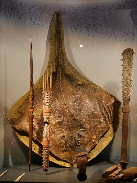 Mantarochen und Waffen - Artefakte aus der Südsee