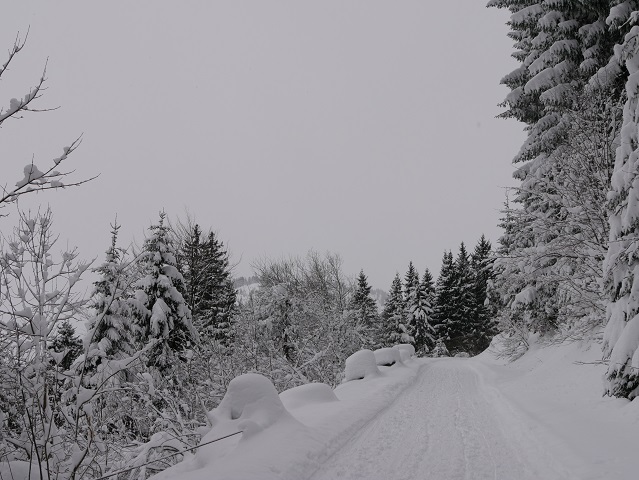 Weg zur Buchel Alpe im Winter zum Schlittenfahren