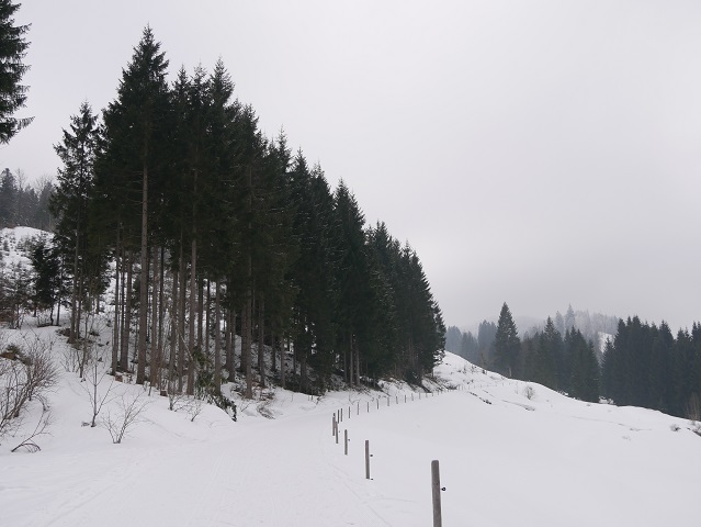 Winterwandern im Gunzesrieder Tal - Weg zur Alpe Rappengschwend