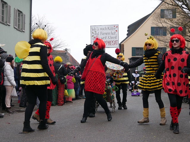 Flotte Bienen und Käfer auf dem Faschingsumzug Obergünzburg 2018
