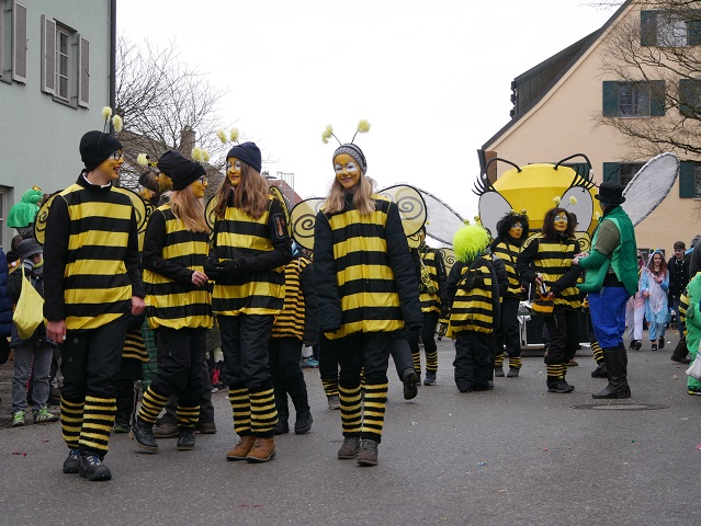 Günztal-Bienen auf dem Faschingsumzug Obergünzburg 2018