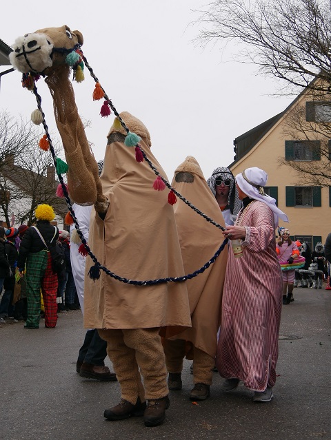 Kamel mit Scheichs auf dem Faschingsumzug Obergünzburg 2018