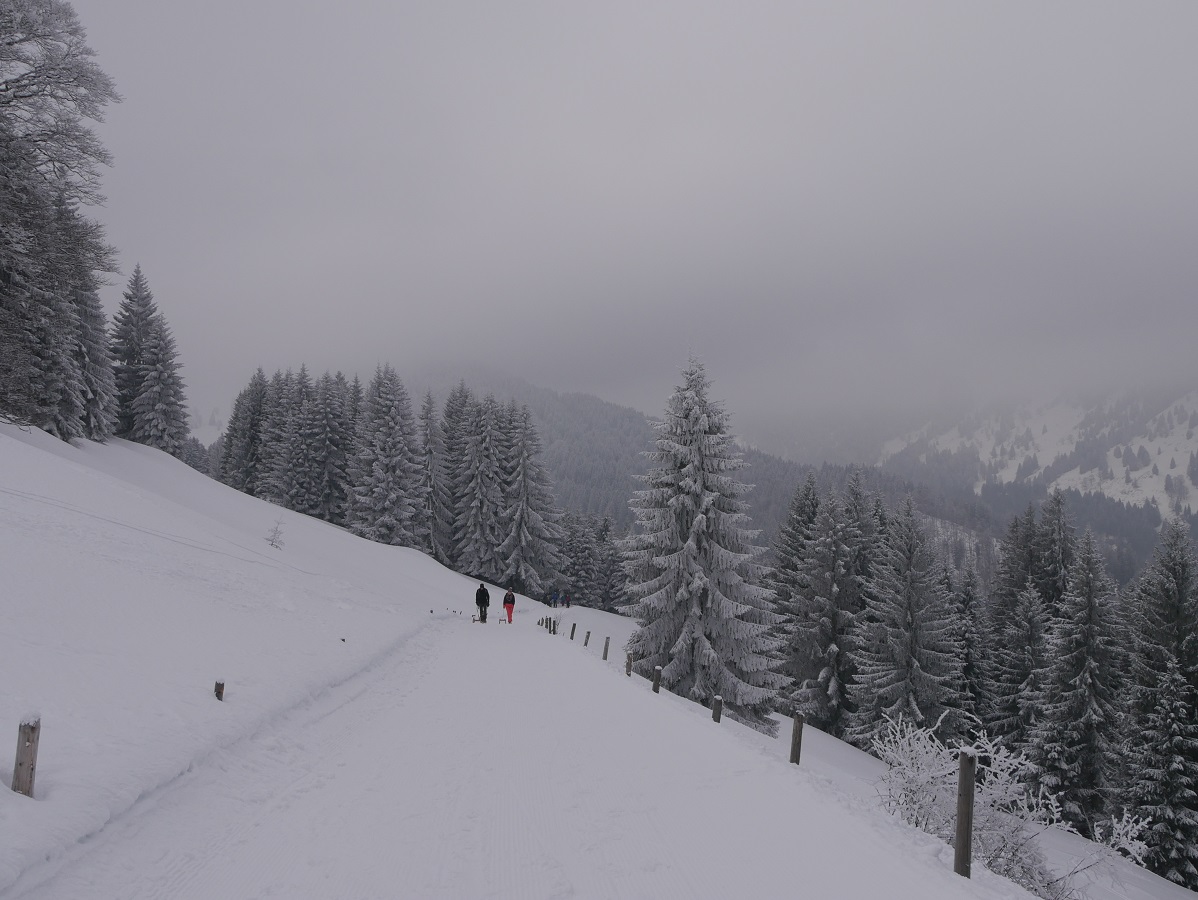 Rodeln im Gunzesrieder Tal - märchenhafte Winterlandschaft