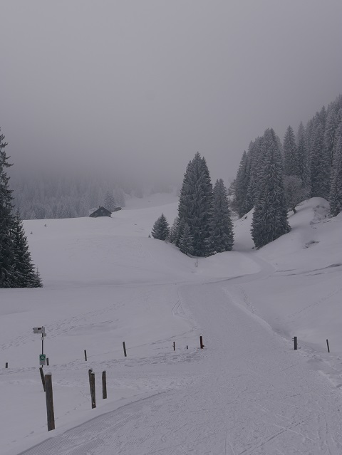 Winterwandern im Gunzesrieder Tal - Abzweigung Richtung Alpe Mittelberg