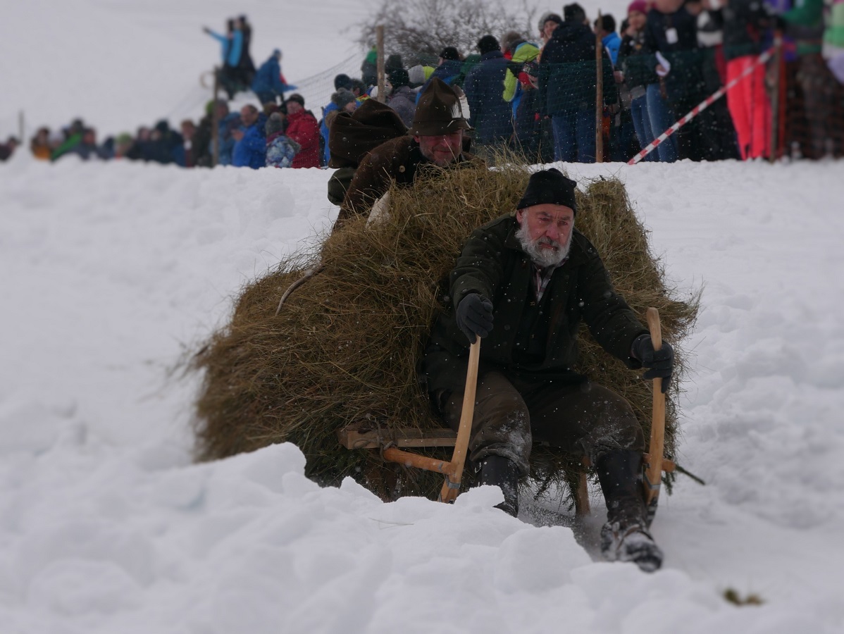 traditionelle Schalengge mit Heu beladen auf dem Schalenggenrennen Pfronten