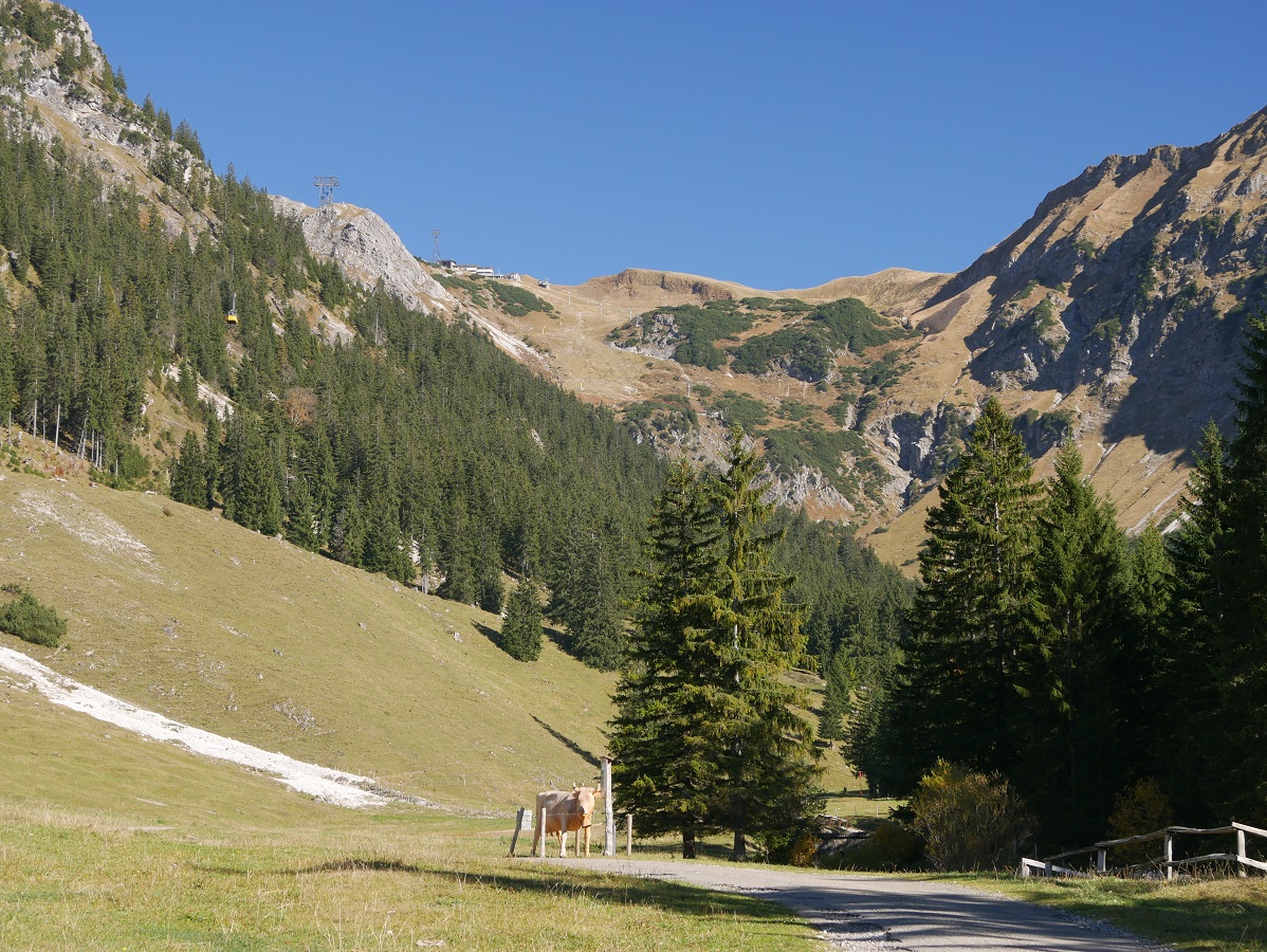Wandern mit dem Kinderwagen im Allgäu - Erlebnisweg Uff d'r Alp am Nebelhorn