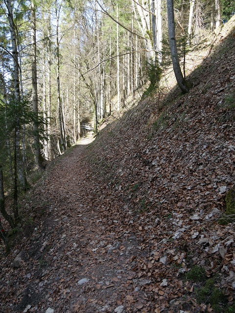 Wanderweg zur Ruine Nesselburg