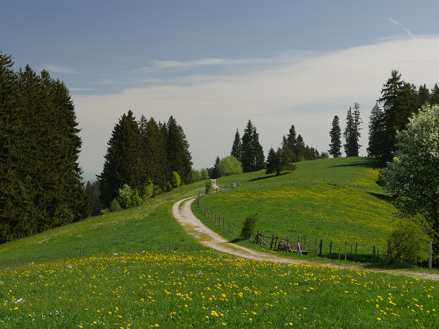 Auf dem Panoramaweg Oy-Mittelberg unterwegs