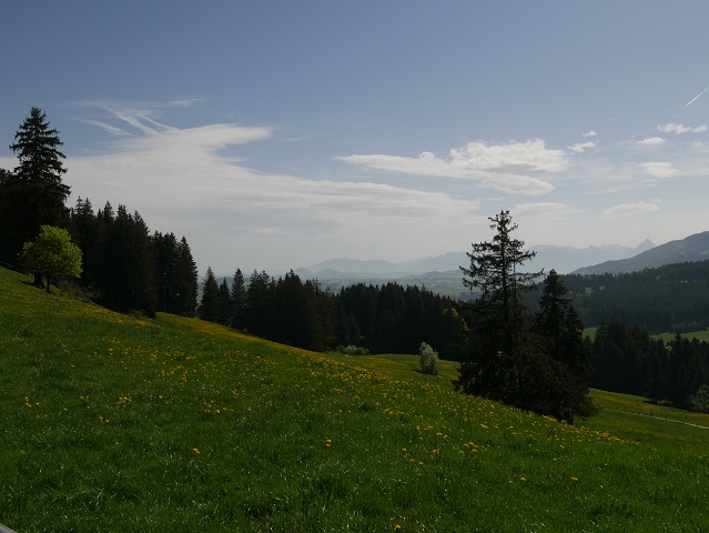 Blick vom Panoramaweg Oy-Mittelberg nach Süden