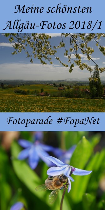 Fotoparade #FopaNet - meine schönsten Allgäu-Fotos 2018-1