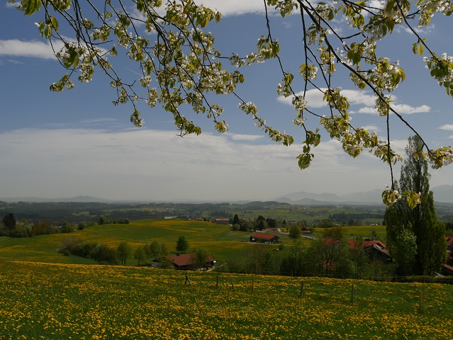 Frühling in Oy-Mittelberg