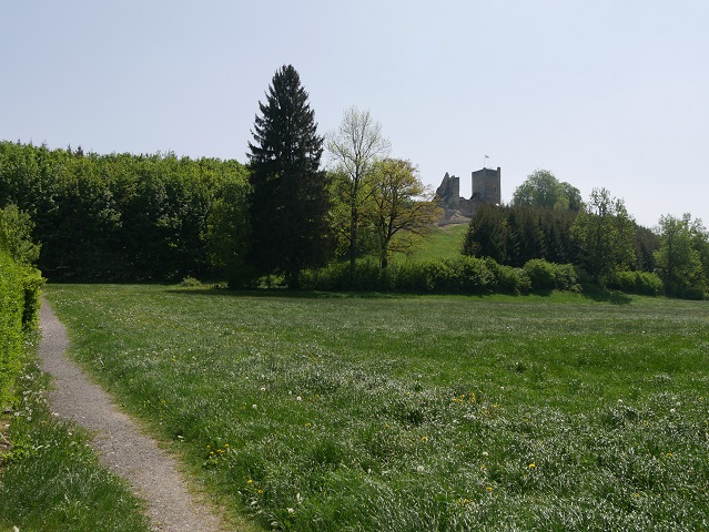 Fußweg zur Burgruine Sulzberg