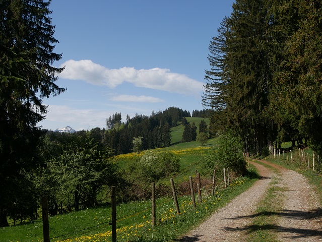Grüntenblick vom Panorama-Rundwanderweg Oy-Mittelberg