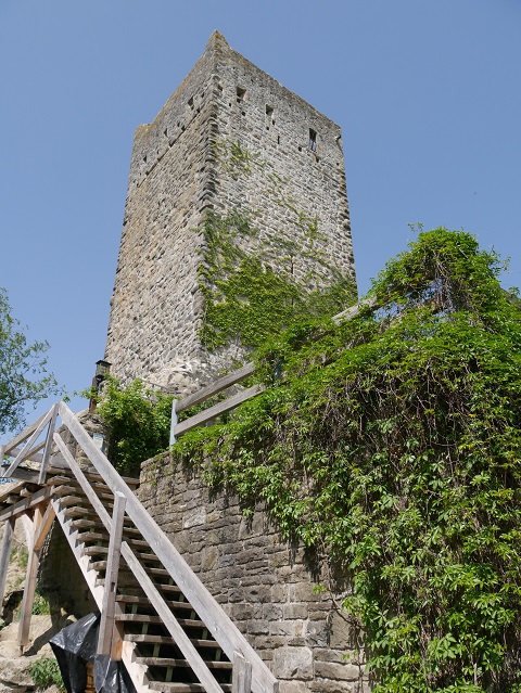 Holztreppe zur Burgruine Sulzberg