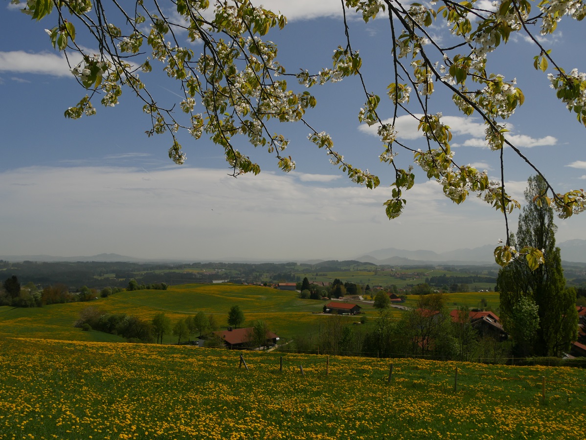 Mein schönstens Allgäu-Foto 2018-1