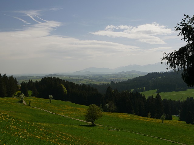Panoramablick vom Panoramaweg Oy-Mittelberg