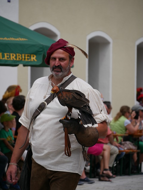 Falkner mit echtem Falken auf dem Frundsbergfest Mindelheim 2018