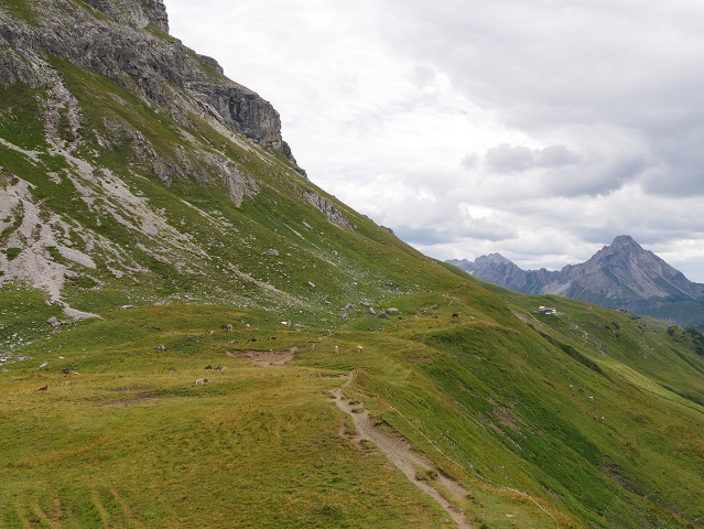 Bergweide am Großen Widderstein mit Blick auf die Widdersteinhütte
