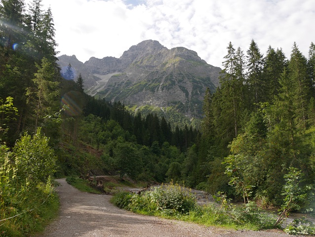 Wanderweg am Bärguntbach