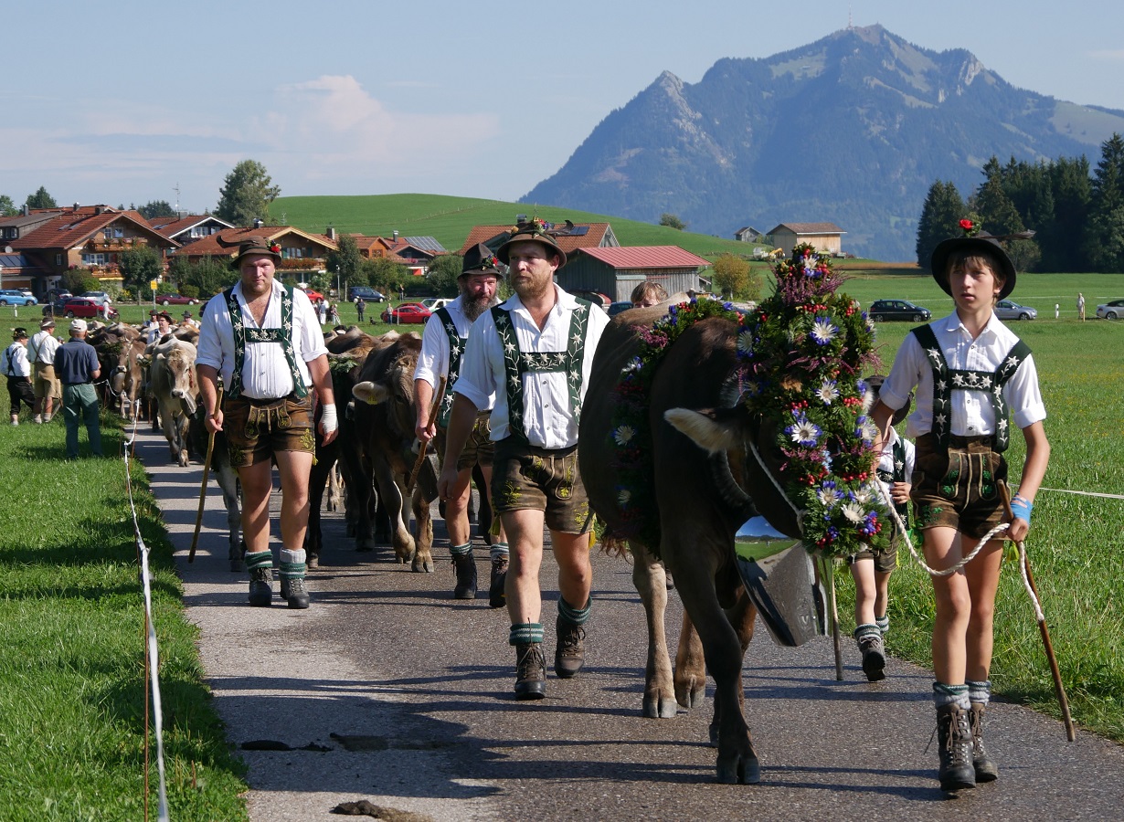 Kranzrind von der Alpe Zunkleiten beim Viehscheid Bolsterlang 2018