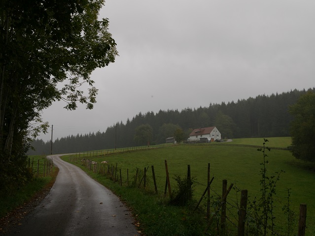 Wanderweg zur Burg Alttrauchburg im Regen
